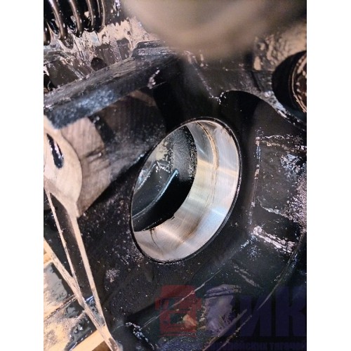 Головка блока цилиндров (ГБЦ) IVECO EuroStar Cursor 10 E3 160577 (971), 500332004-2