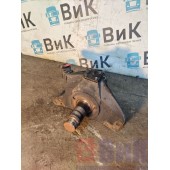 Цапфа (кулак поворотный) DAF 106 181944 LH (811)