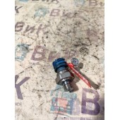 Датчик давления топлива DAF 106 181944 (318)