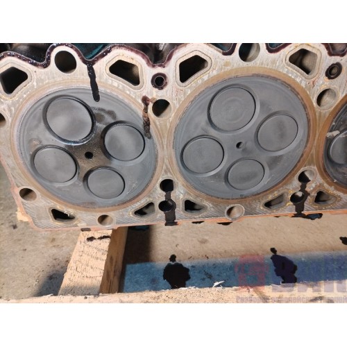 Головка блока цилиндров (ГБЦ) DAF 106 181944 MX13 (203), -8