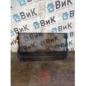 Сетка интеркулера Mercedes Actros MP4 717724 москитная (128)