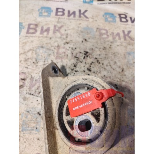 Кронштейн (подушка) интеркулера (радиатора) DAF 85 CF 175314 (698), -1