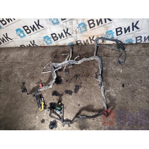 Проводка двигателя DAF 85 CF 175314 (887), 2114609