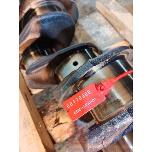 Коленчатый вал (коленвал) Renault Premium DXI 11 074346 (980), -8