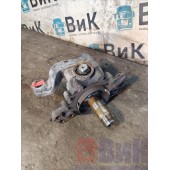 Цапфа (кулак поворотный) d=58 Volvo FH 4 732456 D13K LH (533)