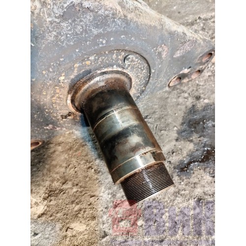 Цапфа (кулак поворотный) DAF 105 XF 943531 LH (385), -4