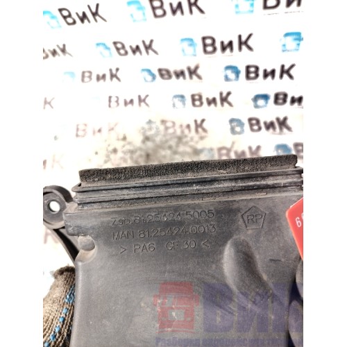 Защита проводки кабины MAN TGX 18 440 032053 RH (205), 81254240013-1