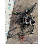 Проводка двигателя Renault T 007618 DTI 11 (874)