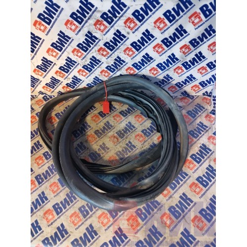 Резинка уплотнительная двери Renault T 002550 (270), -2