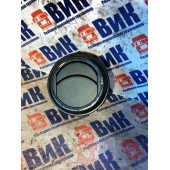 Дефлектор обдува салона Renault T 002550 (068)