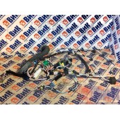 Проводка двери Renault T 002550 RH (054)