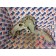 Корпус помпы MAN D2676 LF01 191720 (968), 51063303029