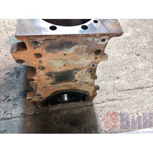 Блок цилиндров двигателя Renault Magnum DXI-13 (087), 1002080-2