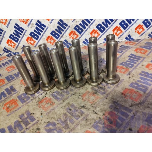 Толкатель распредвала Renault Mack (831)*, -3