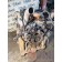Двигатель в сборе MAN D2066 LF40 2011г №50530790663085 (без стартера и вискомуфты) (548), 