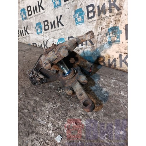 Цапфа (кулак поворотный) DAF 85 CF 532175 LH (009), -2