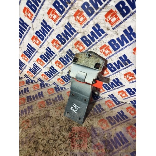 Петля двери DAF 105 RH (901), -2