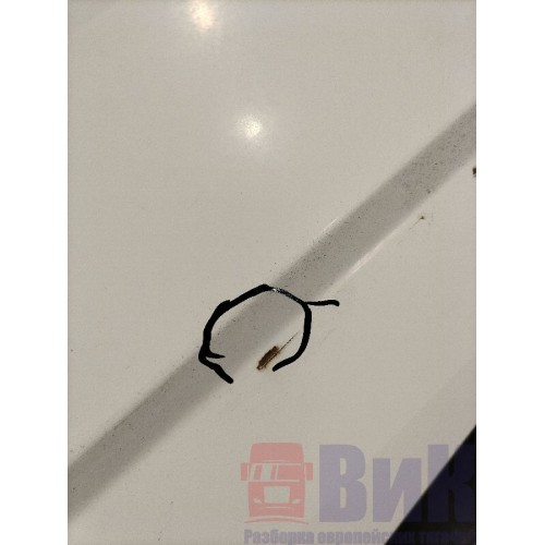 Каркас двери DAF 105 LH деф. (903), -13