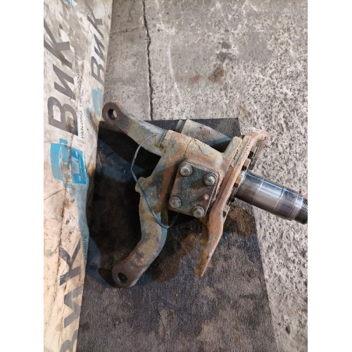 Цапфа (кулак поворотный) Iveco Stralis 241774 Cursor 10 LH (289), 41288936-2