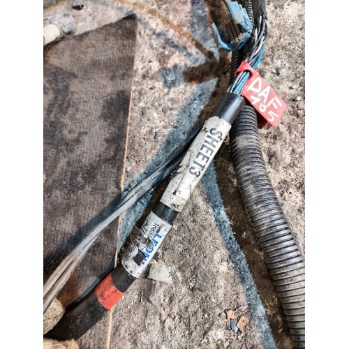 Проводка рамная DAF 105 XF 954749 (034), -1