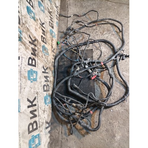 Проводка рамная DAF 105 XF 954749 (033), 1896013-13