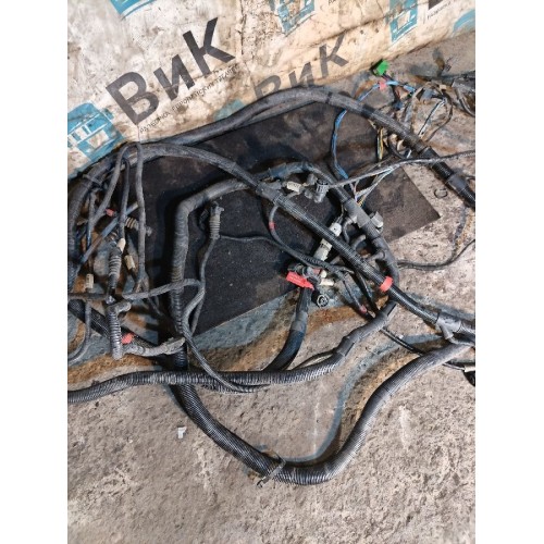 Проводка рамная DAF 105 XF 954749 (033), 1896013-11