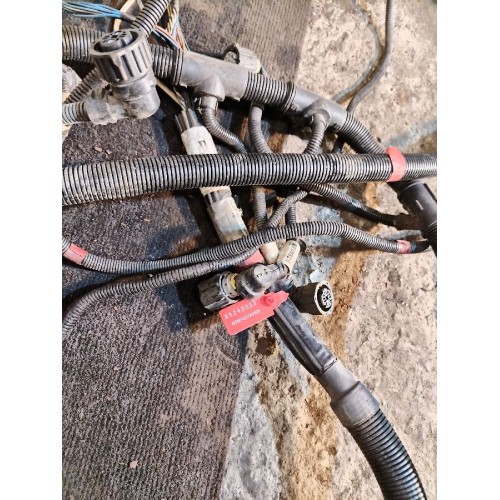 Проводка рамная DAF 105 XF 954749 (033), 1896013-10