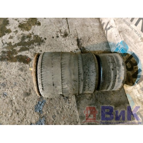 Пневмоподушка DAF 105 XF 968517 задняя EXOVO (985), -6