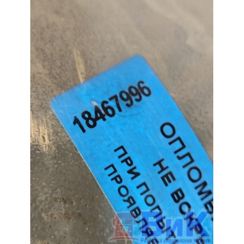 Энергоаккумулятор DAF 106 181944 задний RH (996), 1686002-4