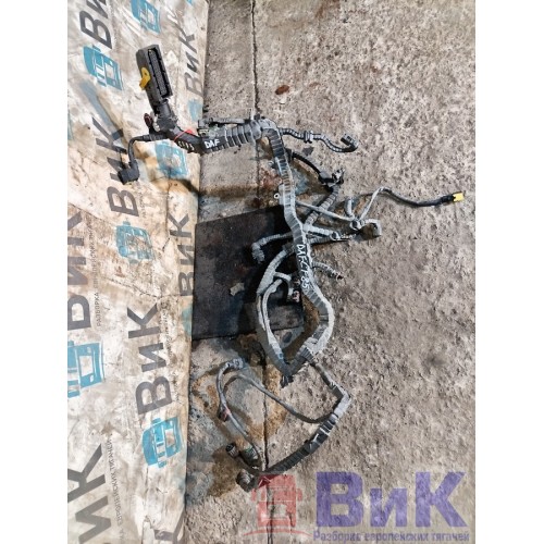 Проводка двигателя DAF 85 CF 183204 (144), 2114609-1