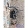 Проводка двигателя DAF 85 CF 183204 (144), 2114609