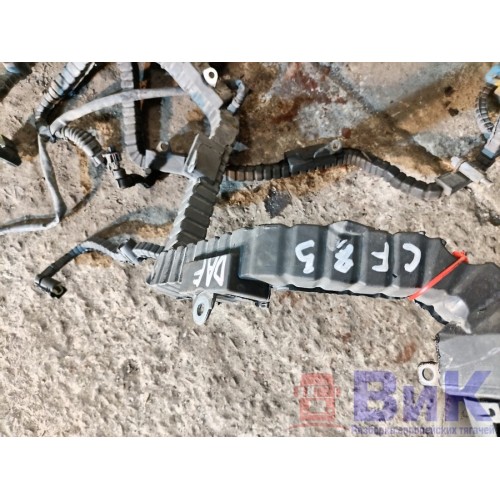 Проводка двигателя DAF 85 CF 183204 (144), 2114609-5