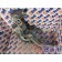 Корпус помпы MAN D2066 LF40 №50532802343277 (295), 51063303033