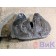 Седельно-сцепное уст-во (седло) DAF 105 823945 JOST 185мм (639), 