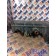 Бак расширительный DAF 105 823945 с датчиком (991), 