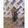 PLD (плд) секция DAF 105 823945 (841), 1668325