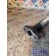 Трубка слива масла с турбины DAF 105 823945 (870), 
