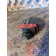 Клапан обратный топливный DAF 105 823945 5bar (804), 1670900