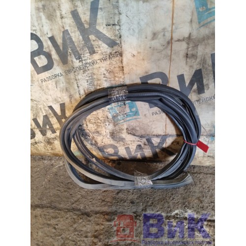 Резинка уплотнительная Scania R440 458663 DC13 двери (568), -1