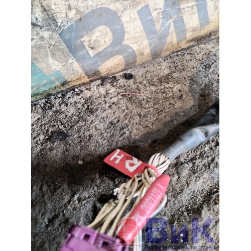 Проводка двери Scania R440 458663 DC13 RH (574), -2