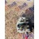 Подрулевой переключатель Scania R440 458663 DC13 скоростей (592), 1858200