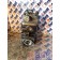 Компрессор воздушный MAN D2066 LF40 №50528880902893 (206), 51541007246