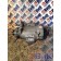 Корпус топливного фильтра MAN D2066 LF57 №50537001133703 в сборе (240), 51125017312