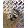 Генератор MAN D2066 LF57 №50537001133703 BOSCH (223), 