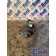 PLD (плд) секция DAF 105 МХ340 №А170528 (342), 1668325
