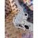 Корпус помпы MAN D2066 LF57 №50537001133703 (210), 51063303033