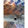 Патрубок системы охлаждения MAN D2066 LF57 №50537001133703 (206), 51063023360