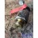 Датчик масляный MAN D2066 LF57 №50537001133703 (163), 