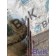 Диск сцепления MAN D2066 LF57 №50537001133703 11мм (154), 