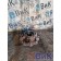 Ступица задняя КАМАЗ 65206-Т5 2511022 OM457LA диск.торм./блок.подш. SPICER (164), 802041